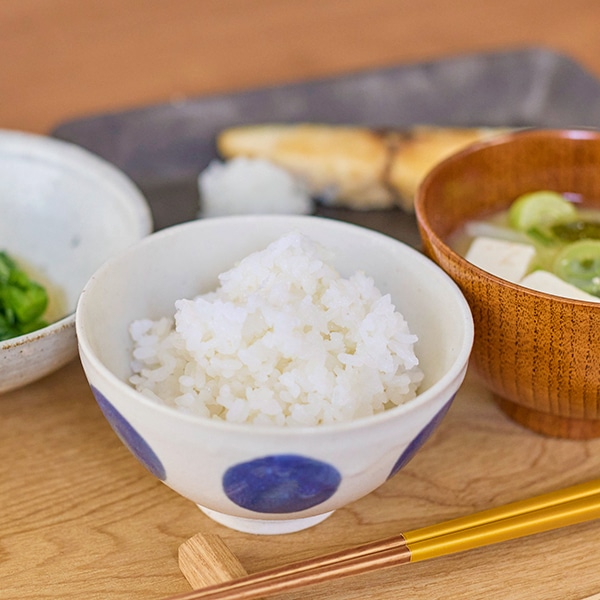 ドット 飯碗 ブルー