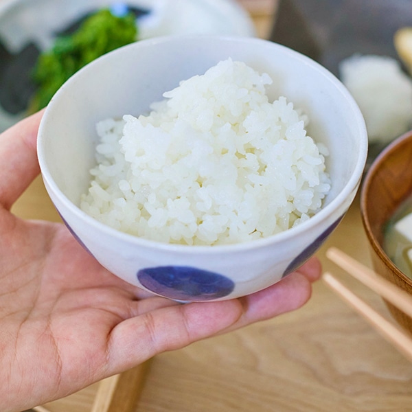 ドット 飯碗 ブルー