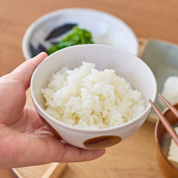 ドット 飯碗 アメ