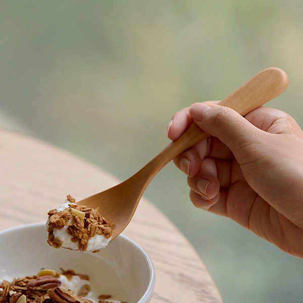 【WEB限定セット】ビッグマグとディナースプーンのセット