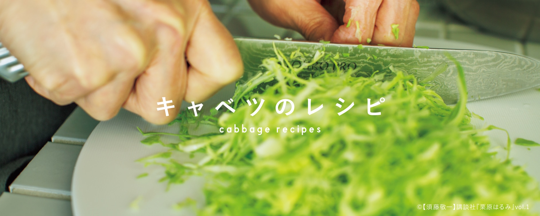 キャベツのレシピ