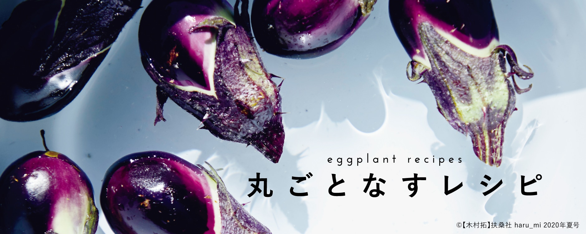 丸ごとなすレシピ