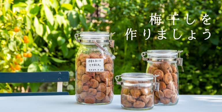 梅干しを作りましょう