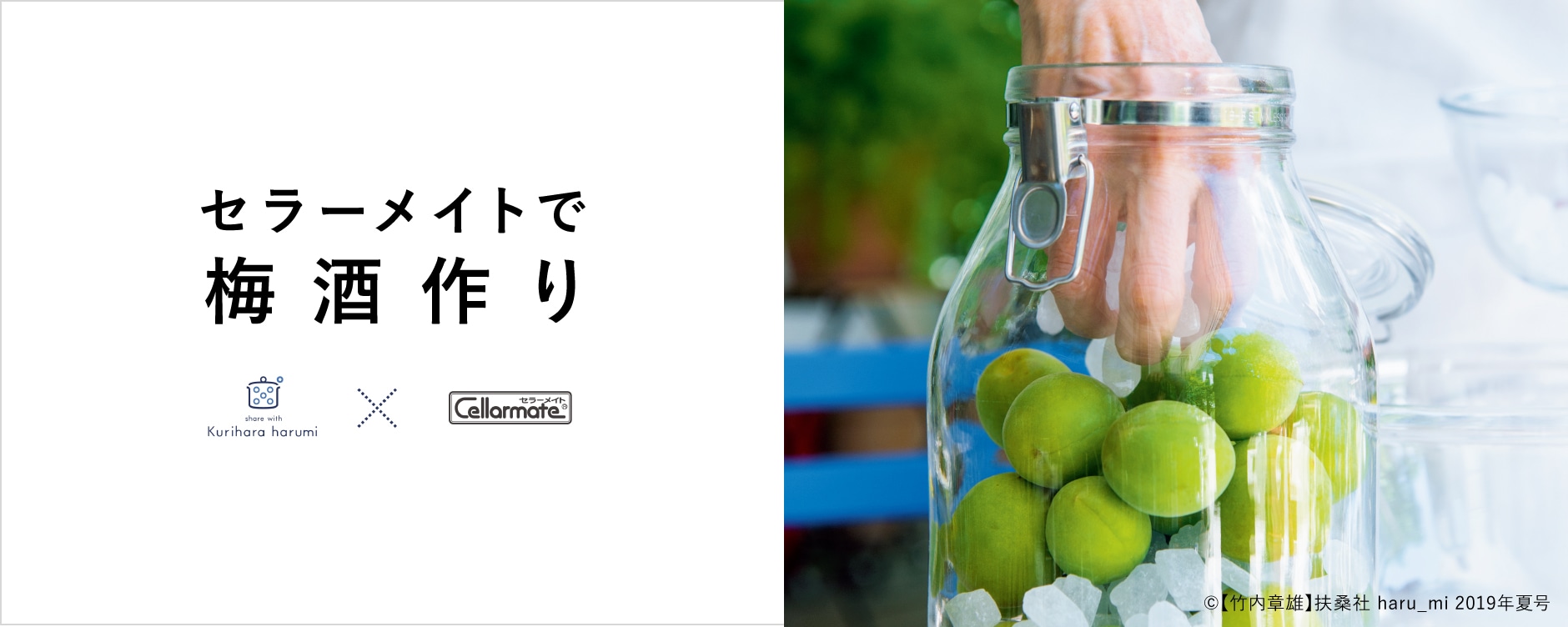 セラーメイトで梅酒作り