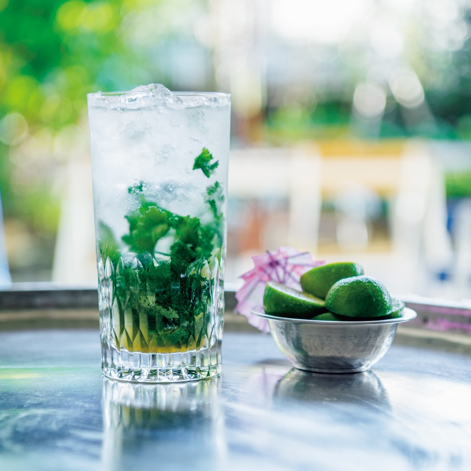 パクチーモヒート