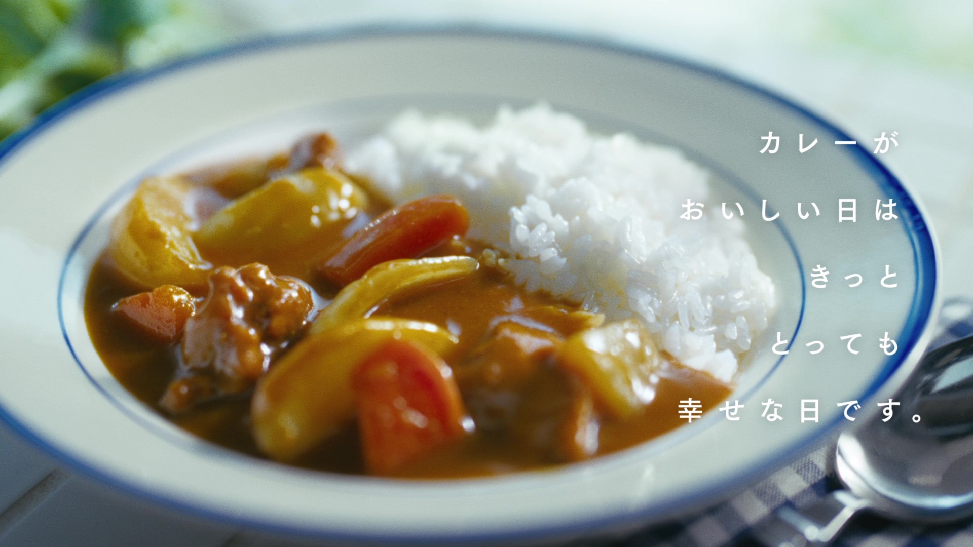 エスビー食品『栗原はるみ わたしのカレー』TVCMが全国オンエア（11/7～）